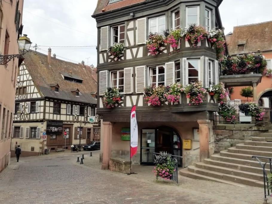 Appartement Cosy - Centre De Barr - Route Des Vins Exterior photo